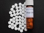 Thuja 200c - support the skin homeopathic support equine horse