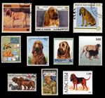 BLOODHOUND DOG INTERNATIONAL POSTAGE STAMPS collection x 10