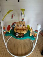 Fisher-Price Leaping Leopard Jumperoo