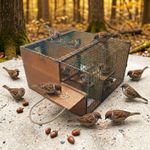 New Model Sparrow Bird Trap. Non Stop Condition. Elevator Type Bird Live Catch