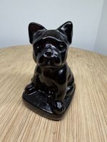 Obsidian Frenchie