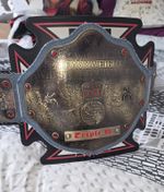 WWE Triple H Signature Series 30th Anniversary World Heavyweight Title 286/300