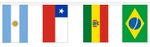 SOUTH AMERICAN NATIONS BUNTING 5 metres 12 flags Polyester flag BRAZIL ARGENTINA