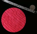 Embosser Rolling Pin Stone Bricks  Design Cake Decorating Fondant Icing Cupcakes
