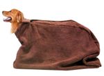 Premium Micro Dog Drying Bag Small + Absorbent Fast Dry Warm Bathrobe Towel 