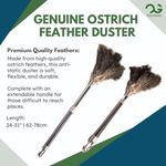 OfficeGear Extendable  [62-78cm] Genuine Ostrich Feather Duster Large - Cleaning