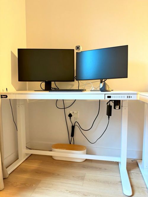 FlexiSpot Electric Standing Desk 120 × 60 cm – White Height Adjustable Desk with