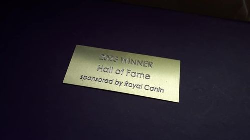 Trophy Plates Plaques UNLIMITED FREE ENGRAVING  FREEPOST — image 13