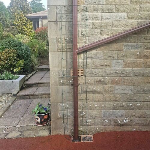 Wall Plant Support Trellis Mesh For Climbing Climbers Metal Frame Flexigro Panel — image 7