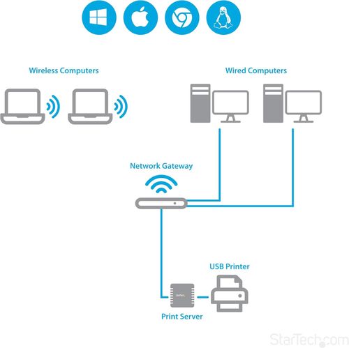 StarTech.com 10/100Mbps Ethernet to USB 2.0 Network Print Server - Windows 10 - — image 3