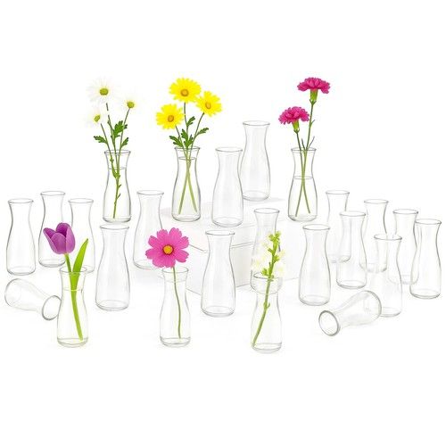 12/24pcs Mini Clear Glass Bud Vases Small Flower Vase Set Home Wedding Decor