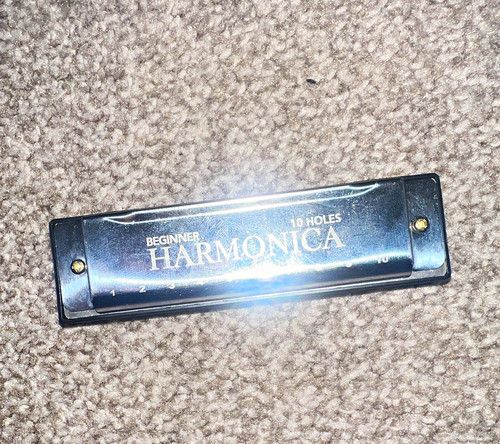 10-Hole Diatonic Harmonica Beginner Gloss Black/Silver Metal & Plastic Body