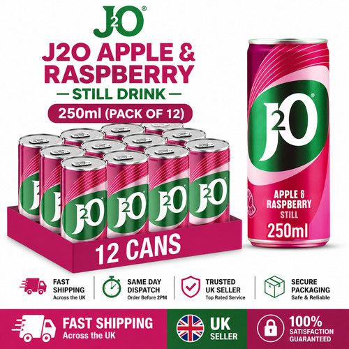 J2O Apple & Raspberry Juice Drink 12x250ml Cans Fruity Soft Drink Multipack UK