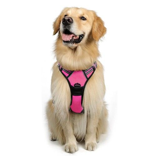 rabbitgoo No-Pull Pet Dog Harness with Handle Adjustable Reflective Padded Vest