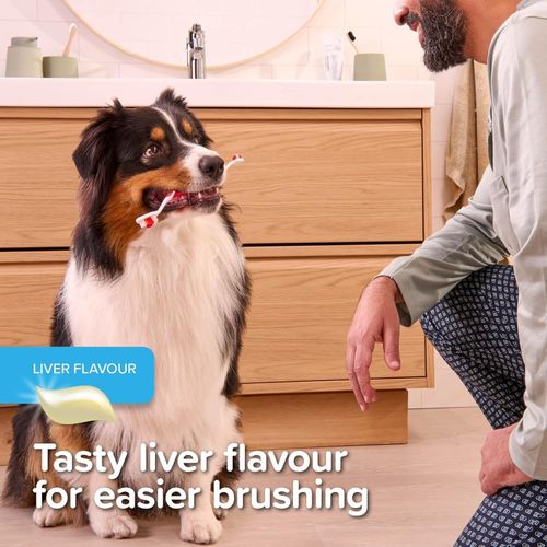 Beaphar Advanced Dual Enzyme Toothpaste Dental Care for Dogs & Cats 100g Tube — image 8