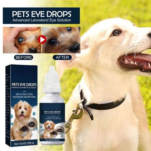 2PCS Pet Eye Cataract Drops For Pet Eye Lubricant Drop Lanosterol Solution 10ml — image 7