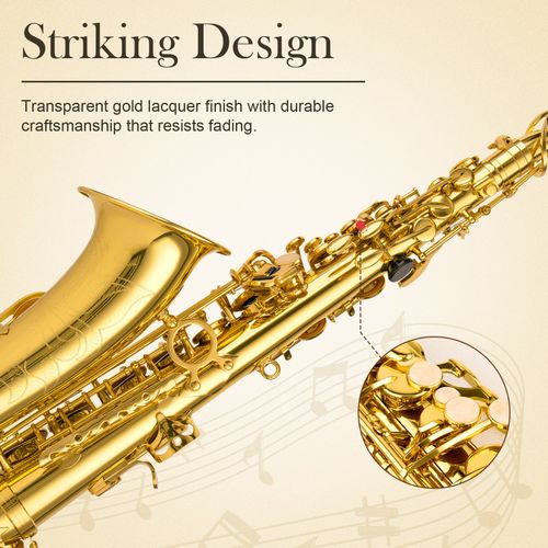 SONICAKE Gold Eb Alto Saxophone Complete Set Beginner Saxophone Full Kits UK — image 3