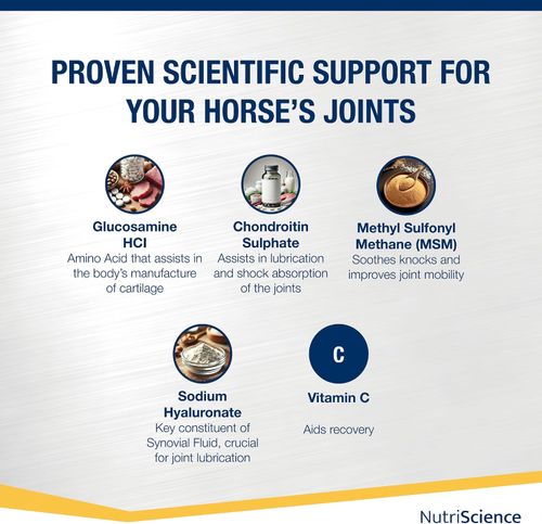 Nutriscience ArthriAid Joint Supplements for Horses, Glucosamine, Chondroitin, M — image 5