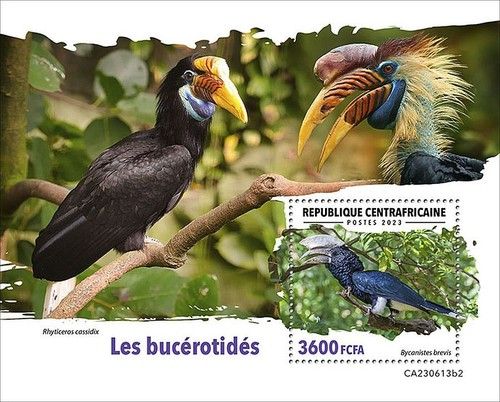 HORNBILLS Birds Hornbill Bird MNH 1v-Stamp Sheet #2464 (2023 Central Africa)