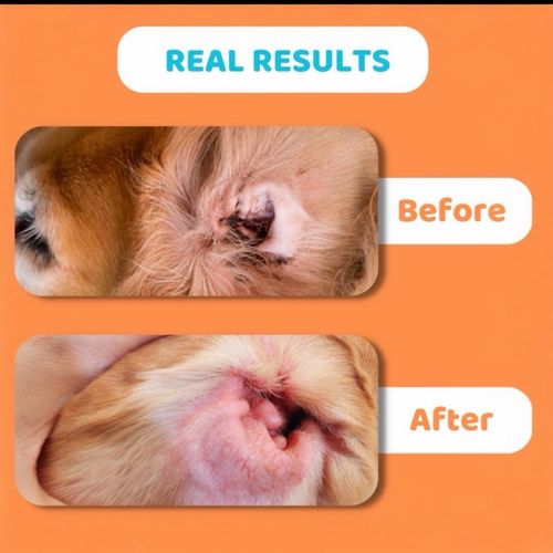 🇬🇧20k+ SOLD 5ml Ear Mite Treatment Blaster Spray Drops Anxious Pets Itchy Ears — image 14