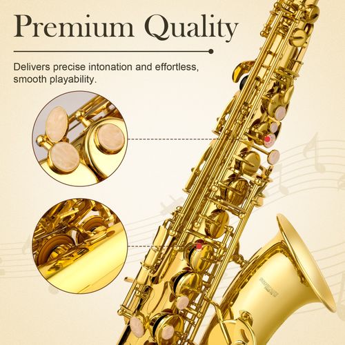 SONICAKE Gold Eb Alto Saxophone Complete Set Beginner Saxophone Full Kits UK — image 4