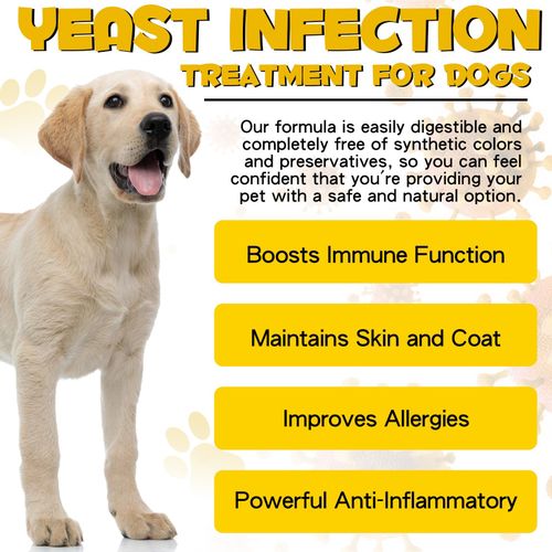 Dog Yeast Infection Treatment Drops Itchy Skin Relief Allergy Coat Care 60ml — image 8