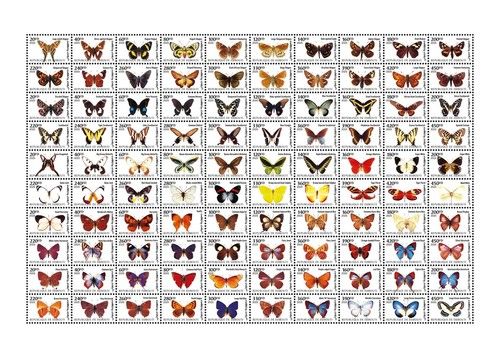 2026 07- DJIBOUTI  - BUTTERFLIES                       100V    MNH **
