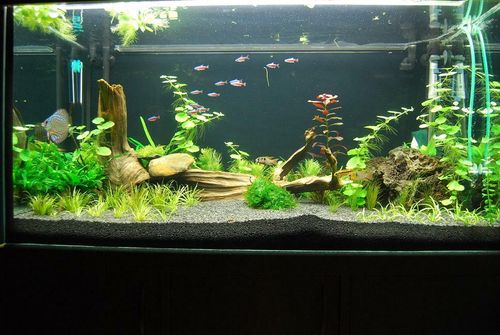 Aquarium Sand Fish Tank Natural Gravel for Plant Growth — image 3