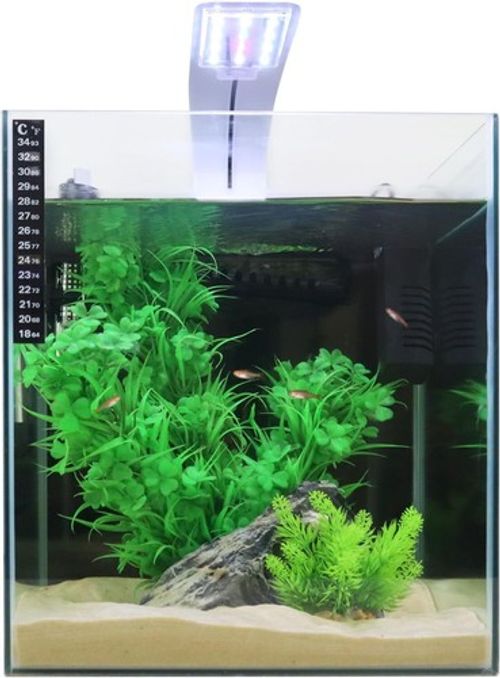 Swell UK | Cube Fish Tank | 28cm Tropical Freshwater LED Aquarium Kit 25ltrs