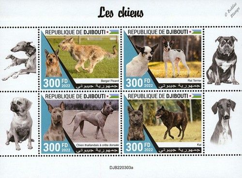 DOGS Berger Picard/Terrier/Thai Ridgeback/Kai Ken Dog Stamp Sheet 2022 Djibouti