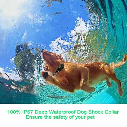 800M Electric Pet Dog Training E-Collar Anti-Bark Obedience Remote Control LCD — image 8