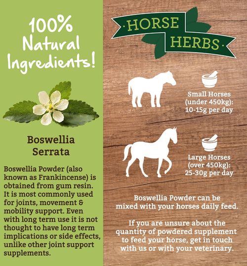 Horse Herbs Boswellia Powder 1kg - Equine Supplement Pain Relief for horses — image 3