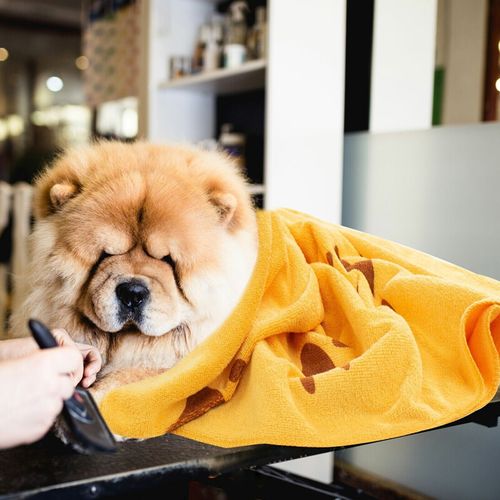 2X 140x70cm Super Absorbent Large Fast Drying Microfibre Dog Cat Pet Bath Towel~ — image 3