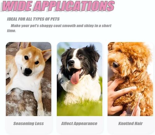 Professional Pet Grooming Comb Brush | Dematting & Undercoat Rake Tool for Dogs — image 6