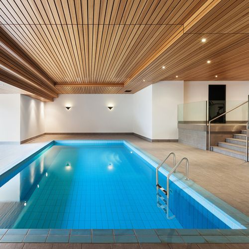 Step Swimming Pool Ladder Stainless Steel 25cm Step Height Inground Use — image 9