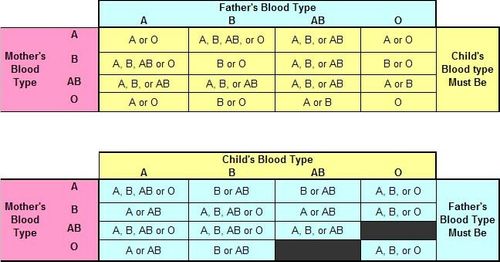 1 x Blood Type Test Kit Eldon Home Blood Group Testing Kit - CE Marked — image 8