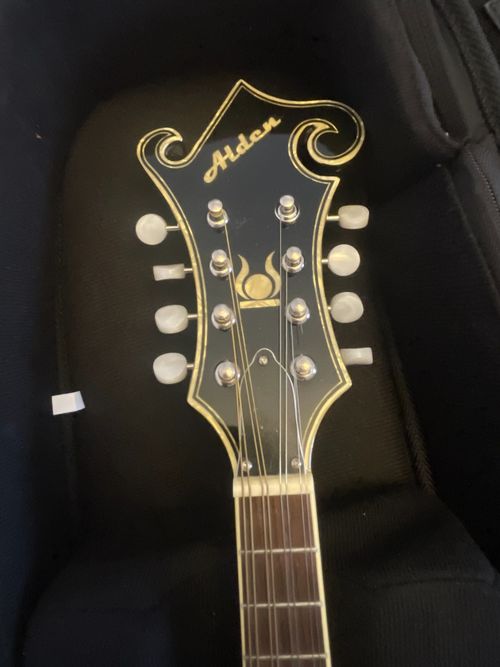 Alden Electric F Style Mandolin Sunburst 8 String with Case — image 6
