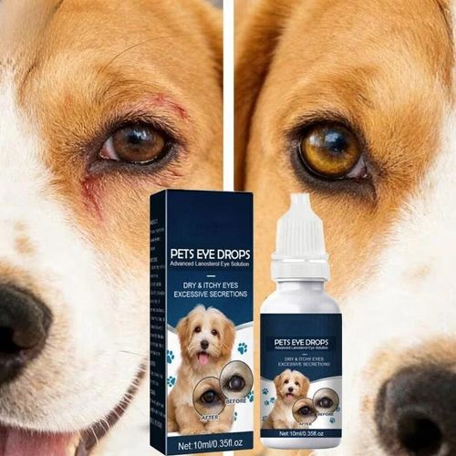 2PCS Pet Eye Cataract Drops For Pet Eye Lubricant Drop Lanosterol Solution 10ml — image 14