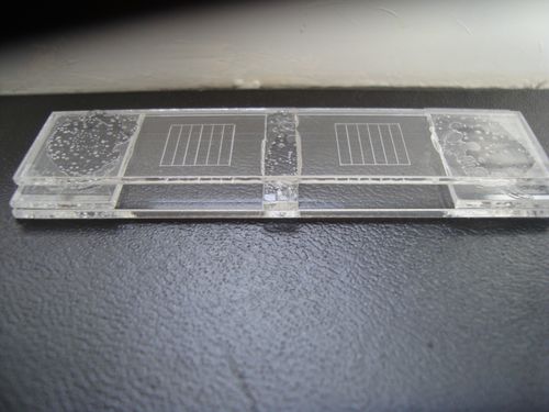 McMaster slide for worm egg counts (+free worm egg wall chart and pipette) — image 1