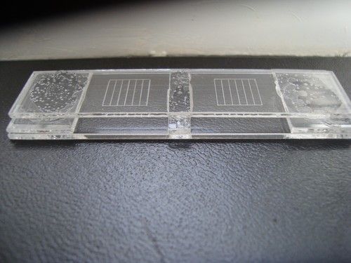 McMaster slide for worm egg counts (+free worm egg wall chart and pipette)