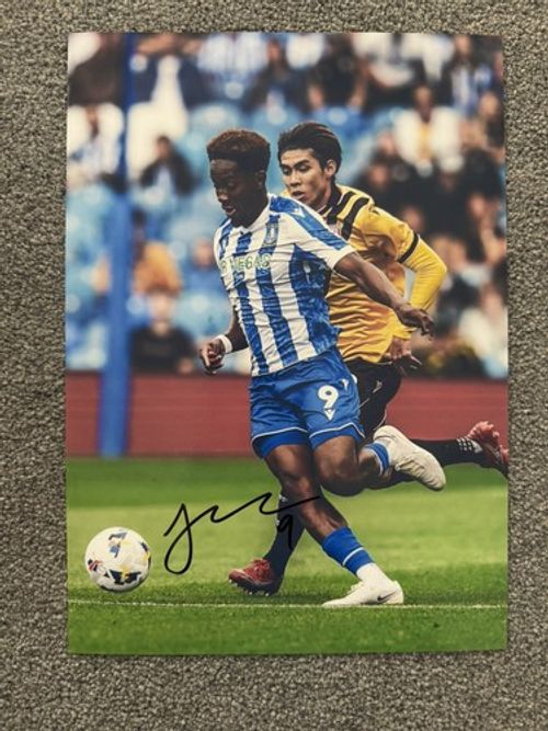 Jamal Lowe  Signed Sheffield Wednesday Football Club A4 Photo Autograph 
