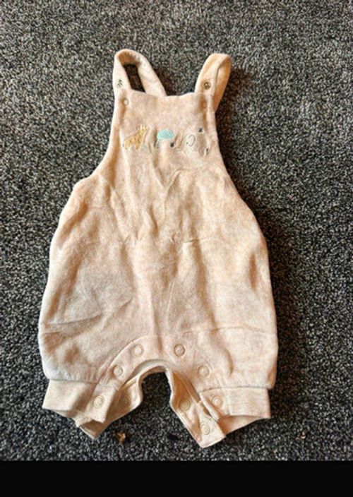 Next Newborn Beige Velour Animal Embroidered Playsuit Sleeveless Snap