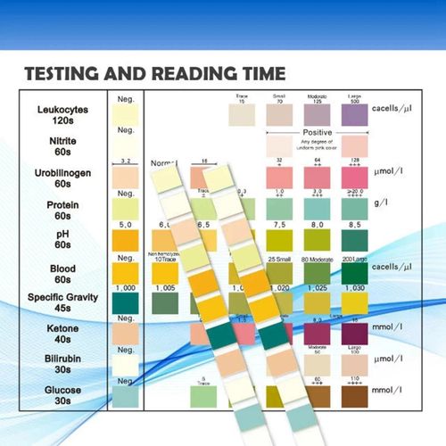 100 Strips Urine Test Strip 10 Parameters Urinalysis Dip-Stick PH Test Strips uk — image 4