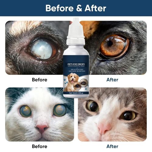 2PCS Pet Eye Cataract Drops For Pet Eye Lubricant Drop Lanosterol Solution 10ml — image 18