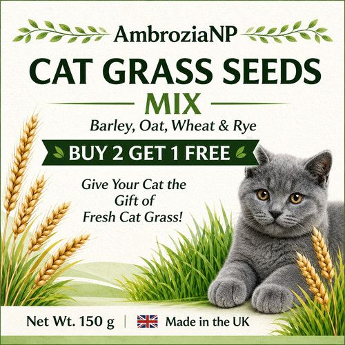 150g Organic Cat Oat Wheat Barley Rye Grass  ~ BUY 2 GET 1 FREE /BUY3 GET 2 FREE