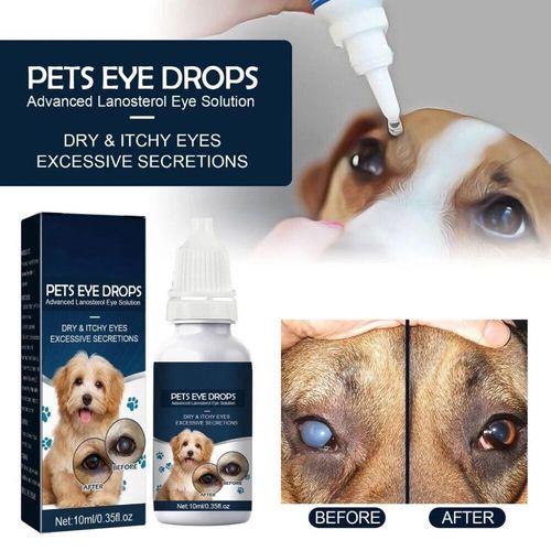 2PCS Pet Eye Cataract Drops For Pet Eye Lubricant Drop Lanosterol Solution 10ml — image 2
