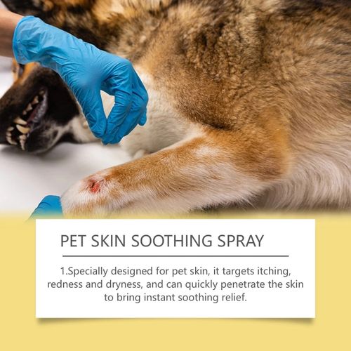 Zoomie Dog Itch Relief Spray Hot Spot Treatment Pet Skin Care Anti Itch Formula — image 2