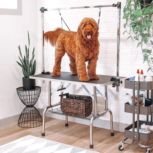Pet Foldable Grooming Table w/ Adjustable Height Non-Slip Tabletop with 2 Leash