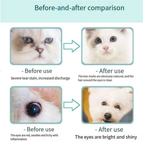 Pet Eye Health Ointment for Dogs, Cats, Cattle, Sheep, Horses, Birds & Puppies — image 3
