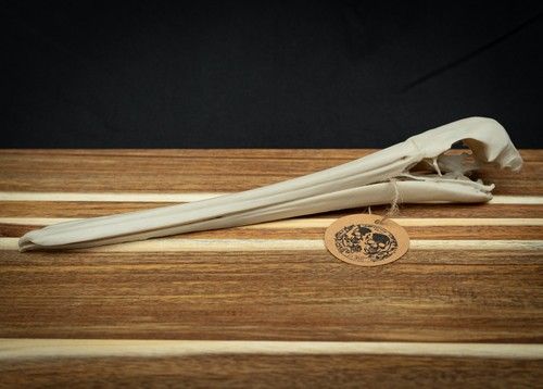Scaled Down Pelican Skull Replica – Realistic 3D Printed Bone Model Display